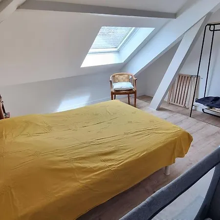 Spacieux T3 Neuf Au Calme Proche Toutes Commodités Appartamento